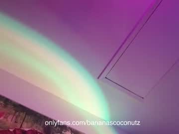 girl
        bananascoconutz cam image #86243